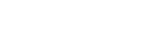 Visionary Food Solutions